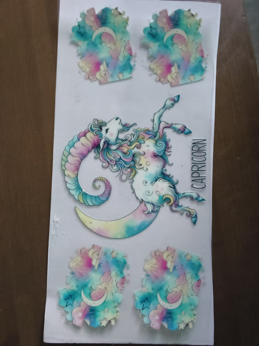 Zodiac sign ( Capricorn)