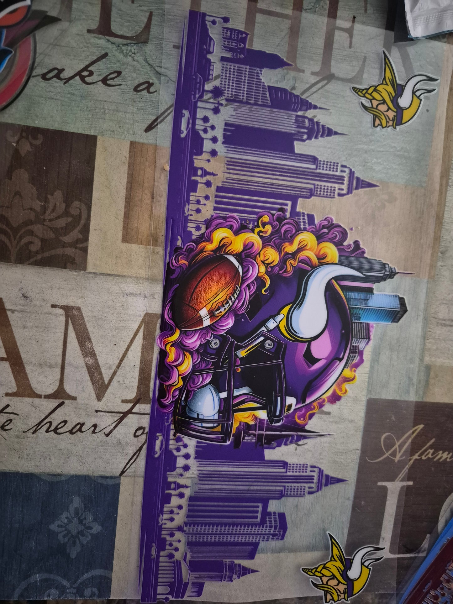 Minnesota vikings